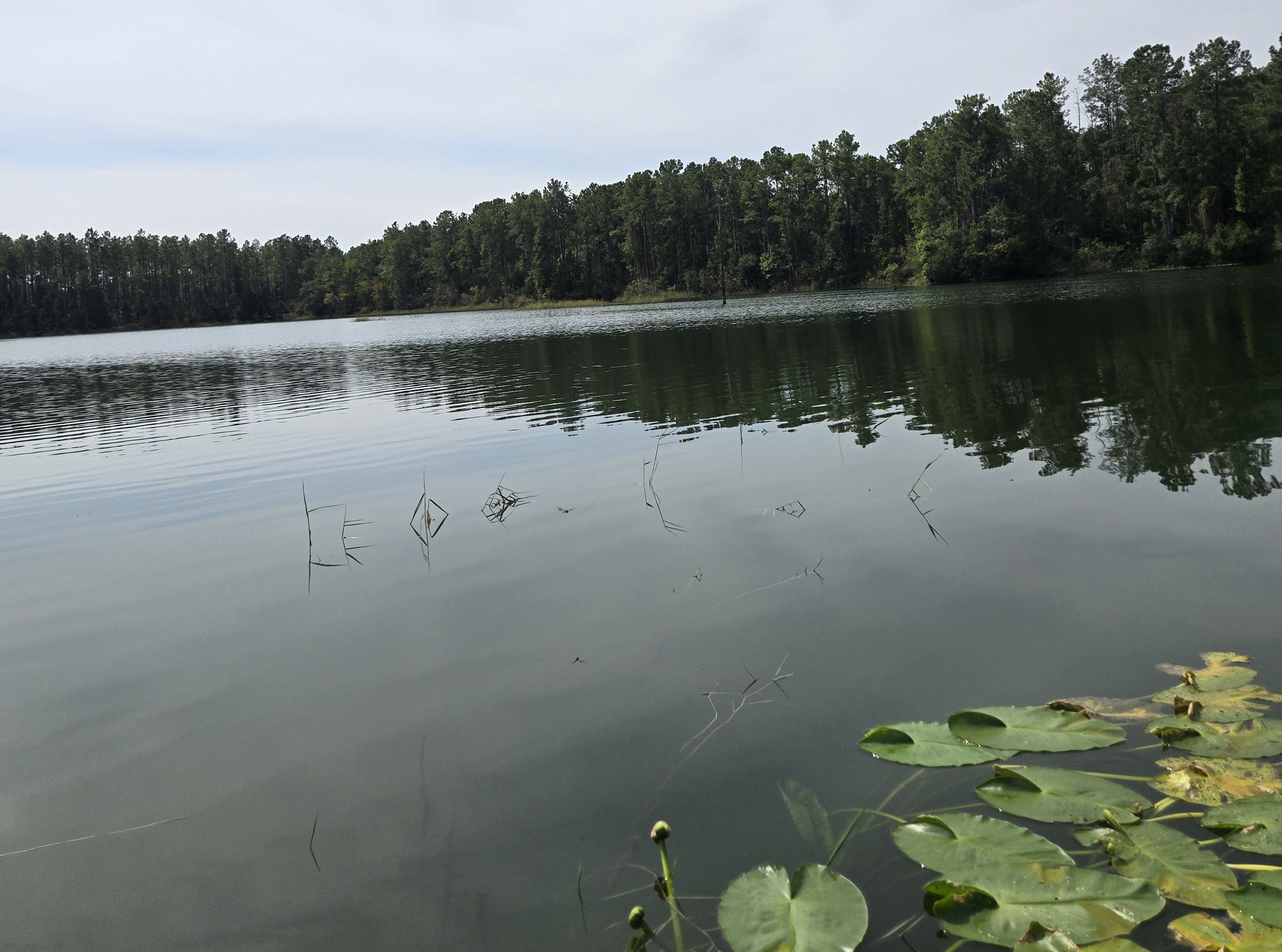 Onsite Pond Assessment