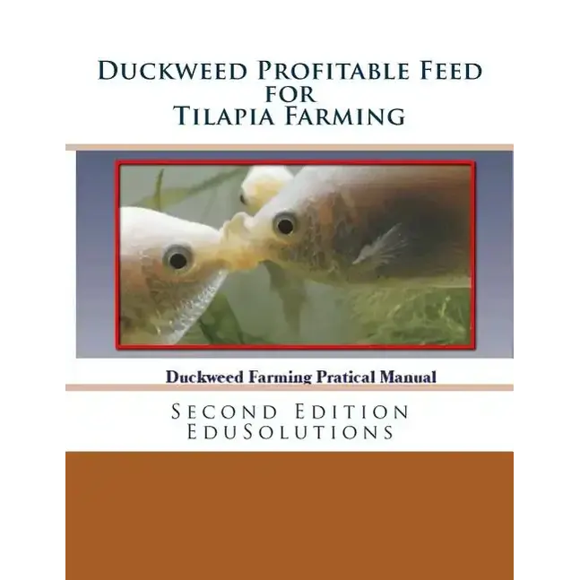 Duckweed Profitable Feed for Tilapia Farming