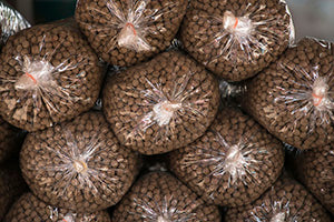 Fish Food
