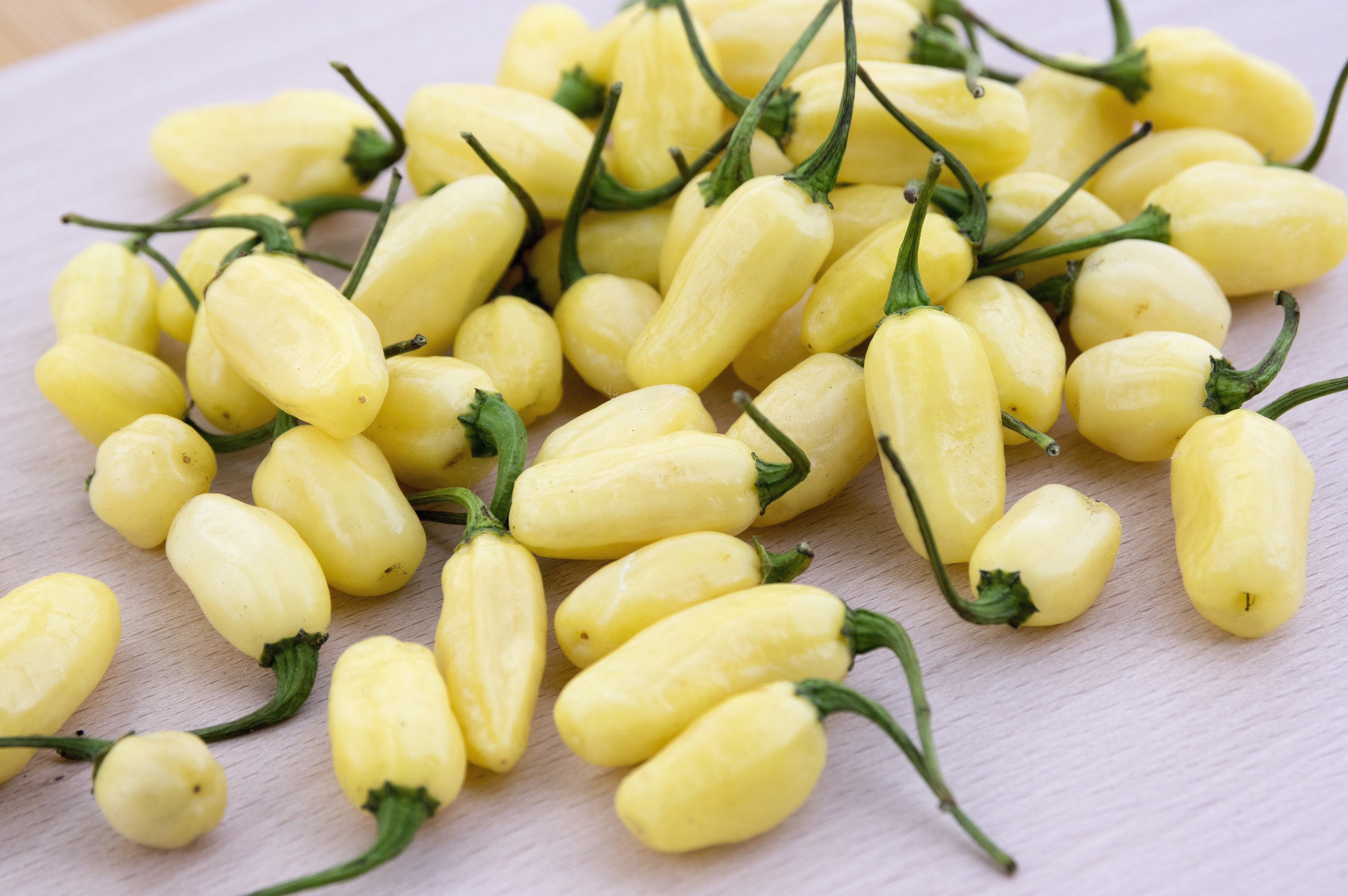 50 Hot WHITE HABANERO PEPPER Capsicum Chinense Vegetable Seeds