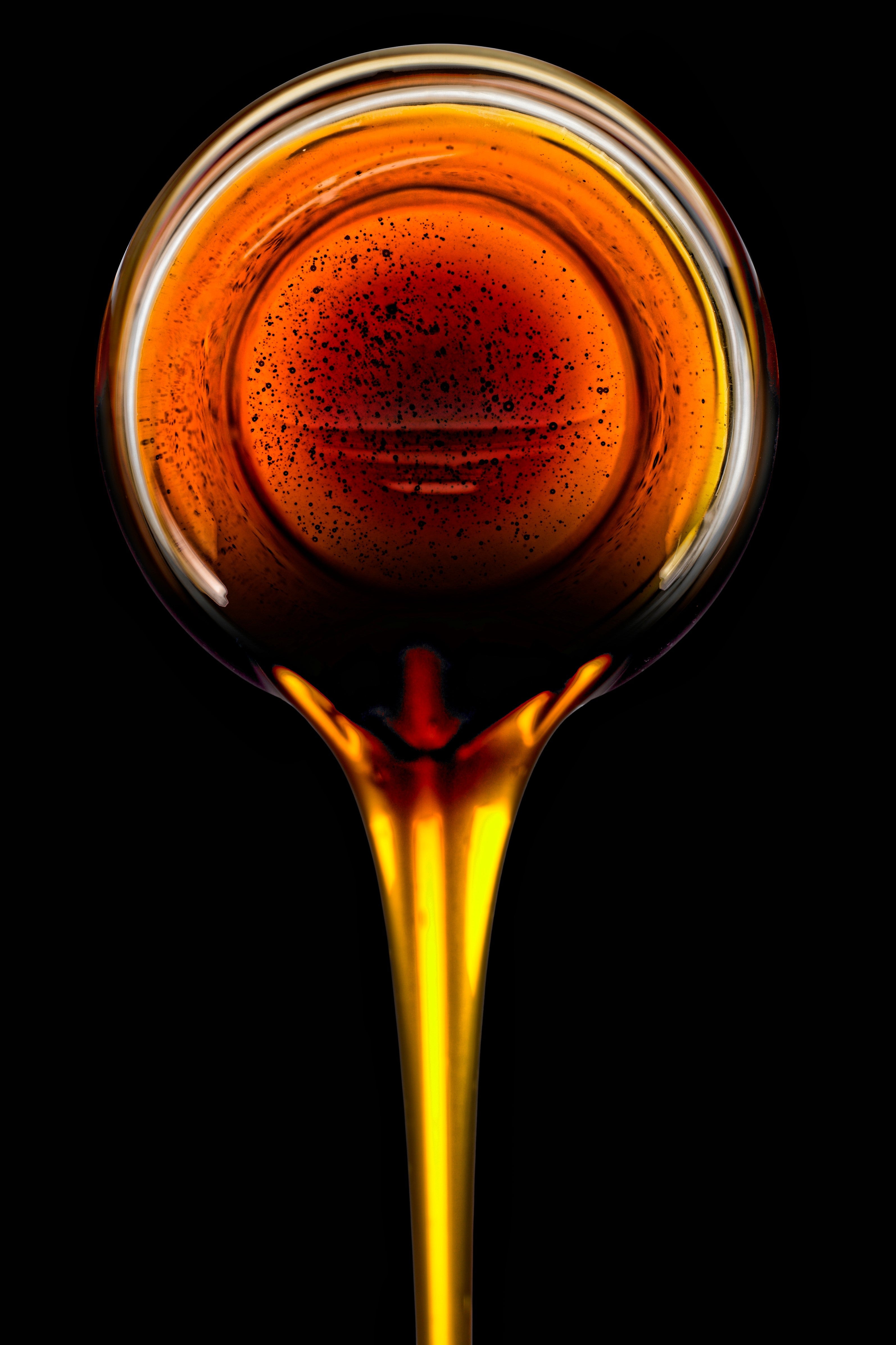 1 Lb BULK HONEY DRIP SORGHUM Bicolor Honey Drop Syrup Grain Vegetable Pound 22,400 Seeds