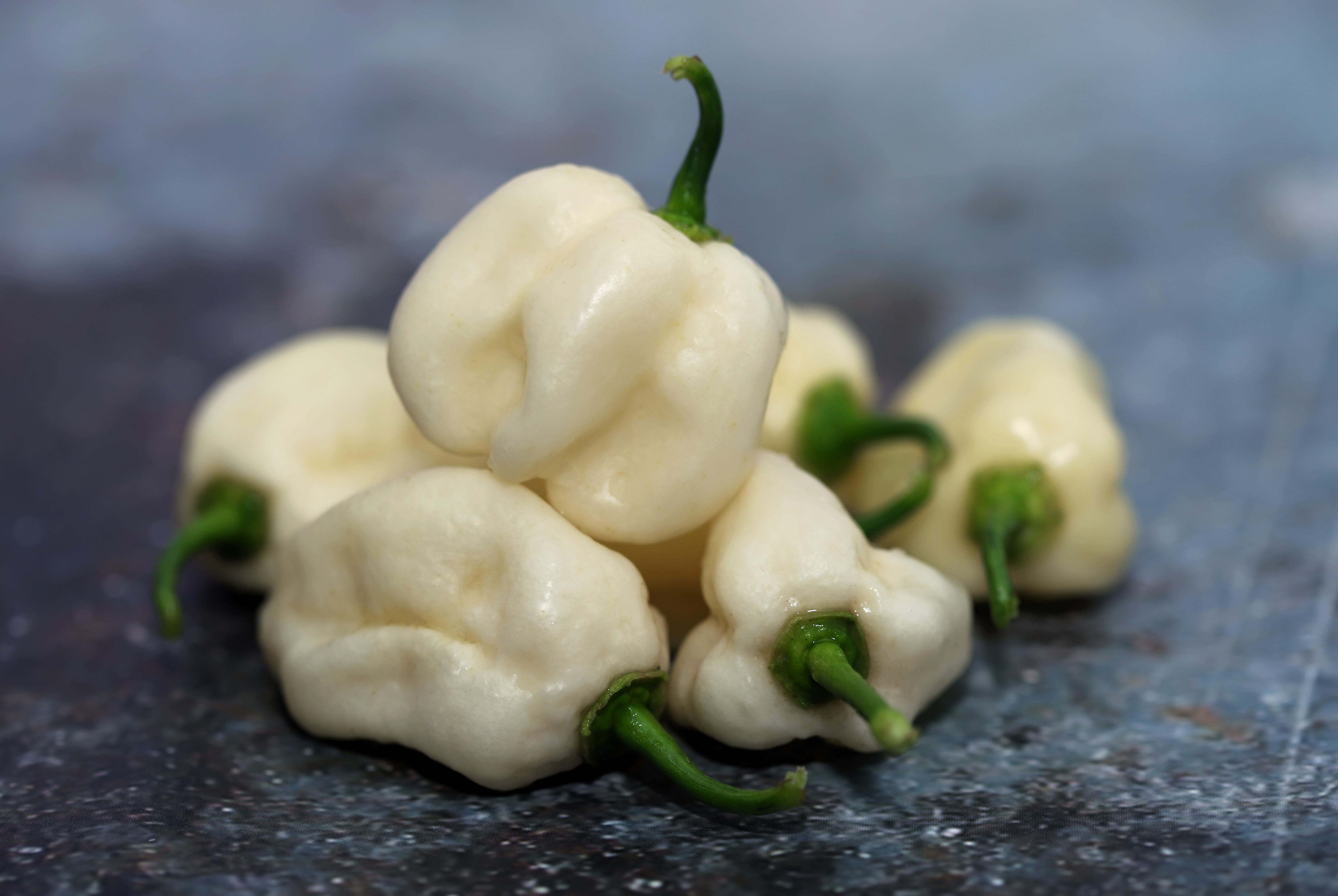 50 Hot WHITE HABANERO PEPPER Capsicum Chinense Vegetable Seeds