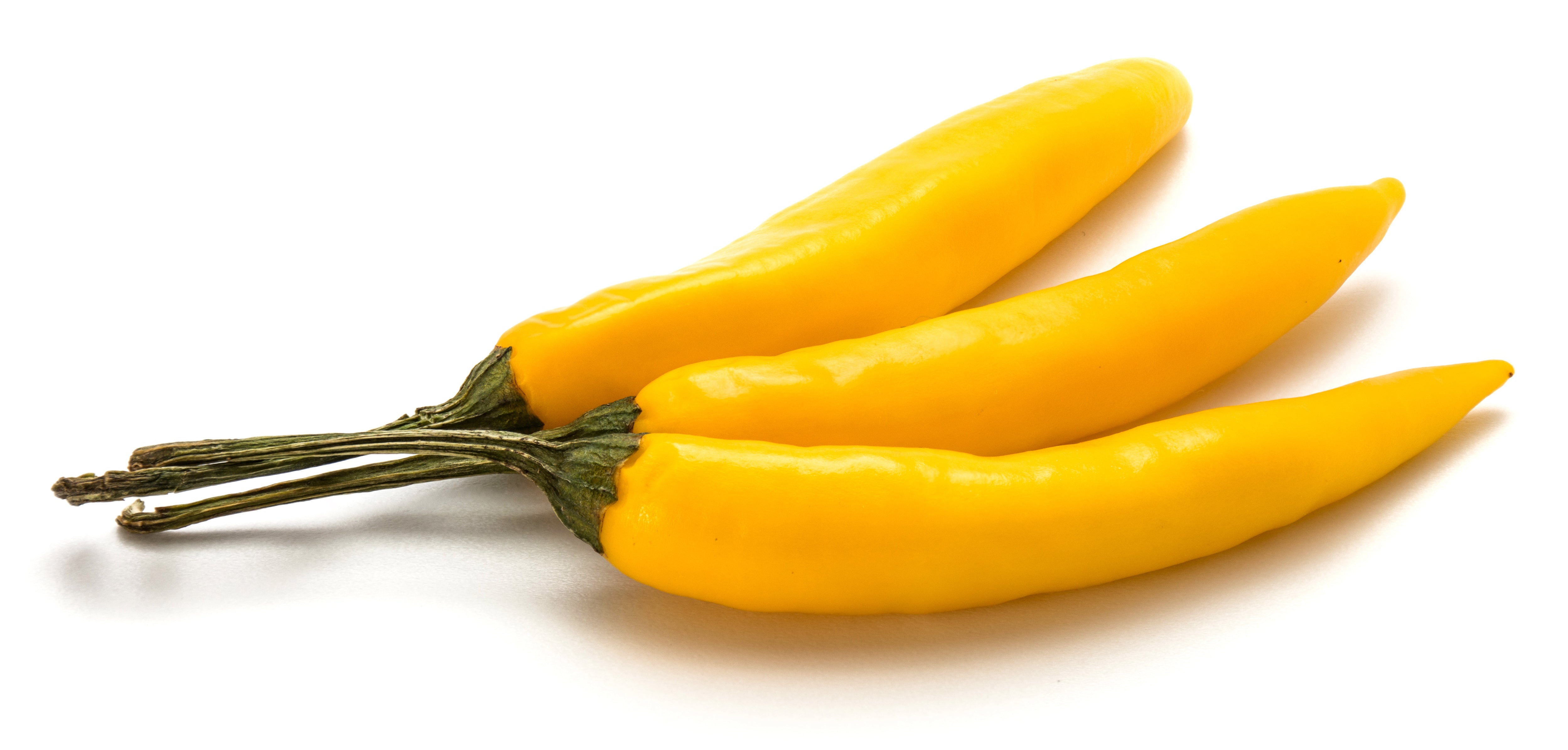 50 GOLDEN CAYENNE PEPPER Hot Yellow Capsicum Annuum Vegetable Seeds